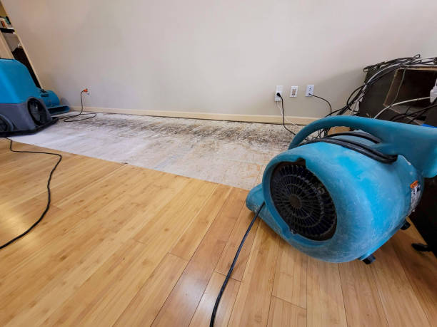Professional Basement Flood Cleanup technician working in Vineyard, UT